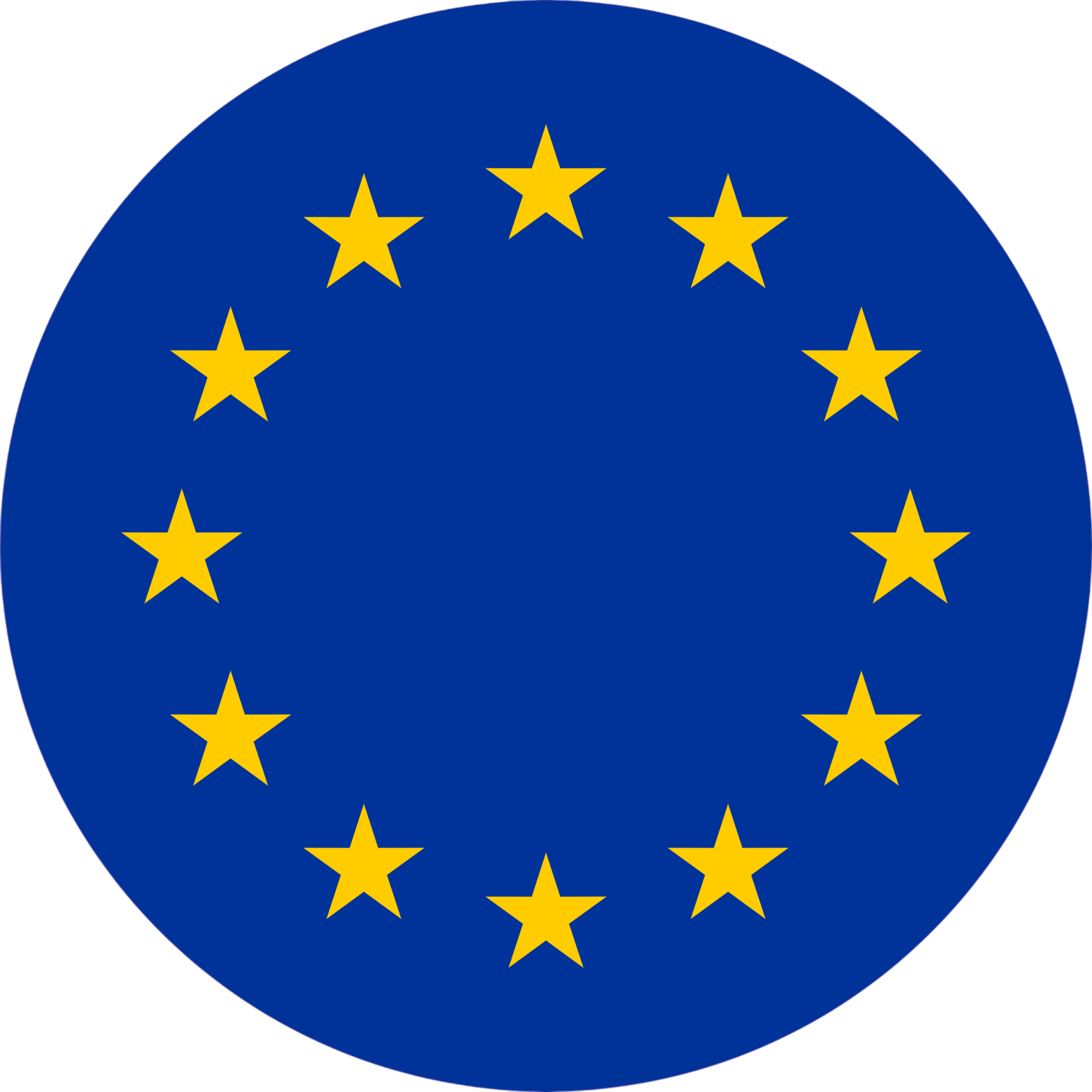 European Union Logo